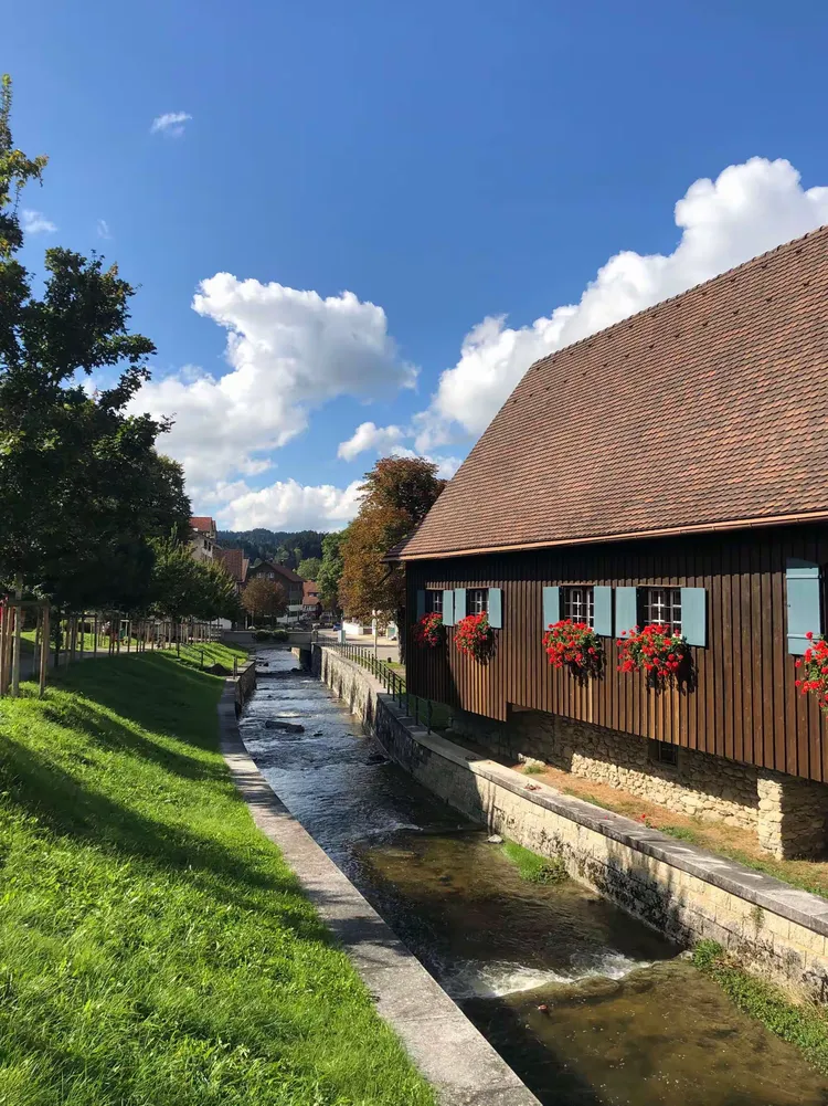 爱游戏官方-奥地利终结瑞士连胜攻势猛狠唤醒欧预赛雄心的简单介绍