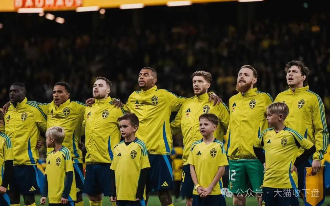 瑞士队击败爱尔兰队,提升晋级机会 瑞士队击败爱尔兰队,提升晋级机会