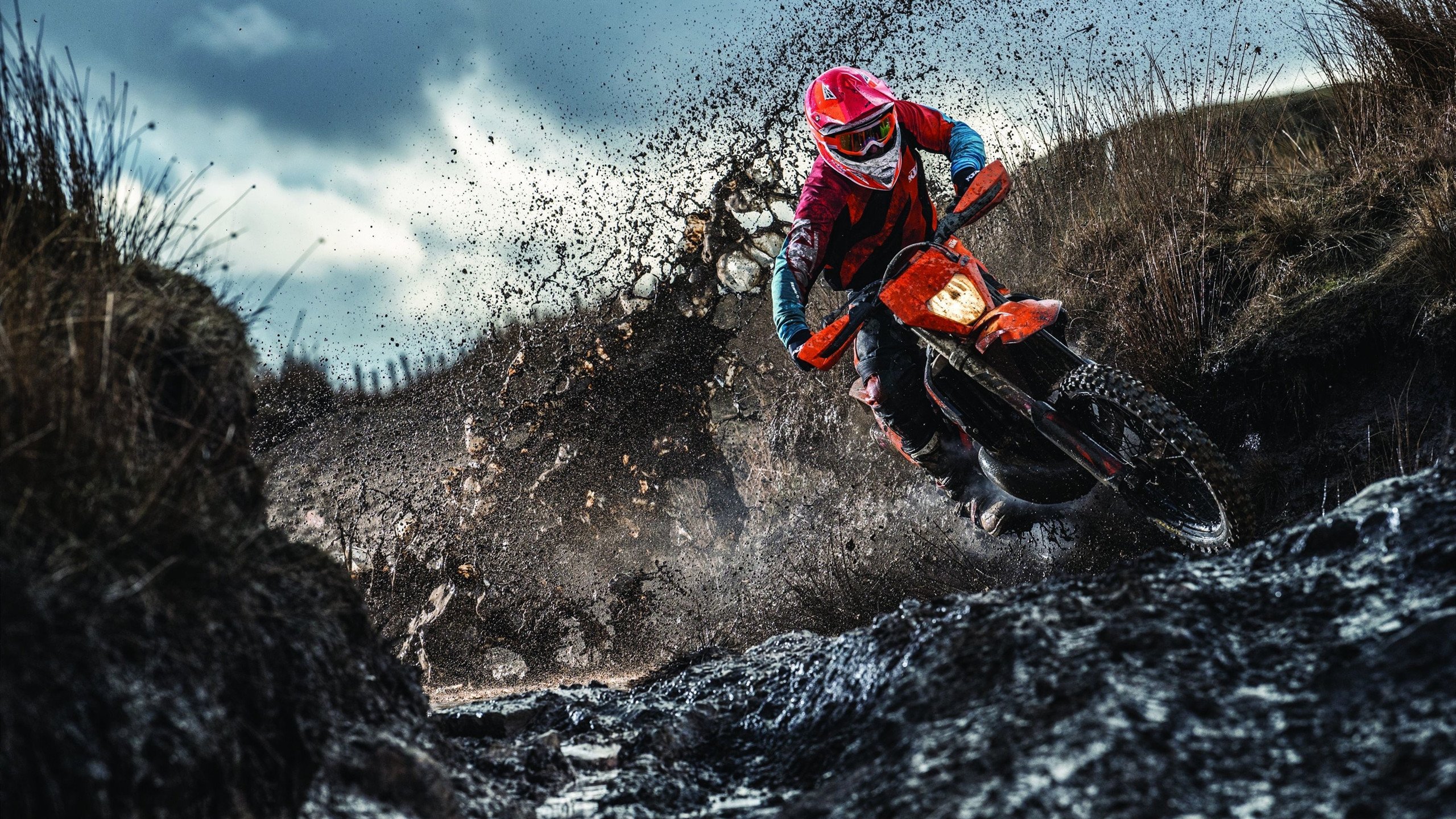 掌控节奏的艺术,米切尔如何引领广东队力克浙江队